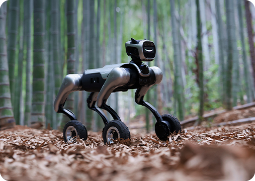 MagicDog-W