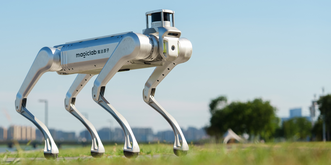 MagicDog Y1 Deployment Platform & Technical Support