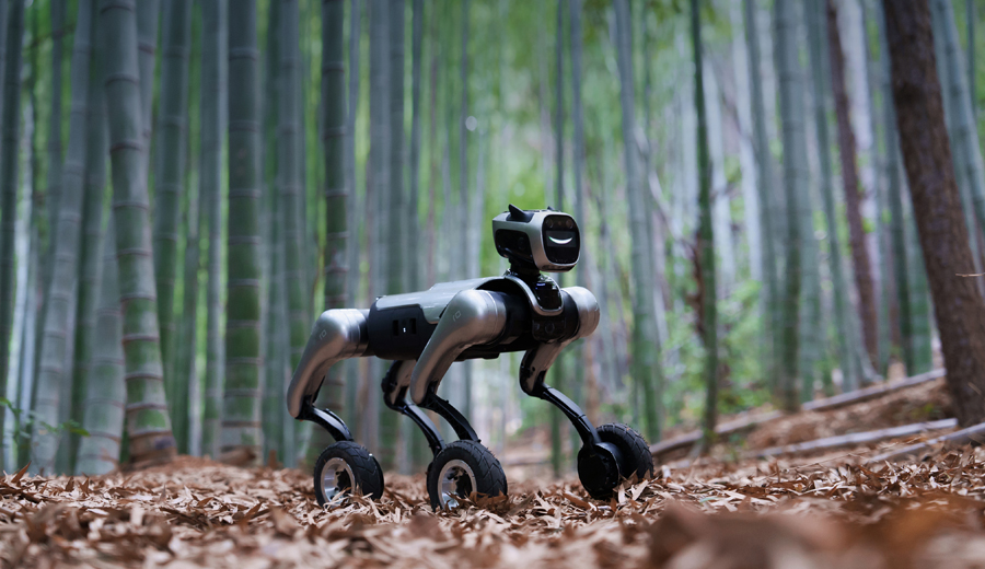 MagicDog-W