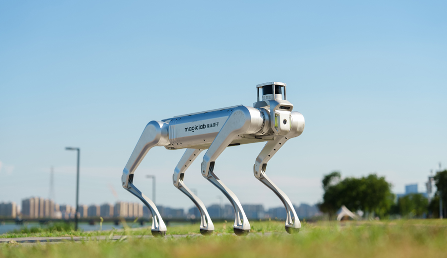 MagicDog Y1