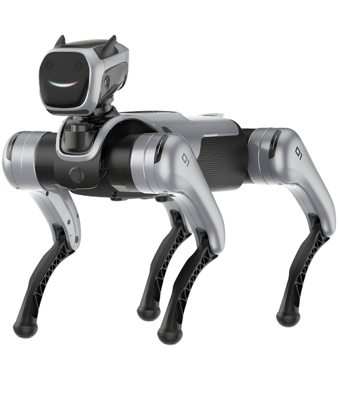 MagicDog Functional Specifications