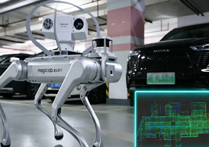 Inspection & Security