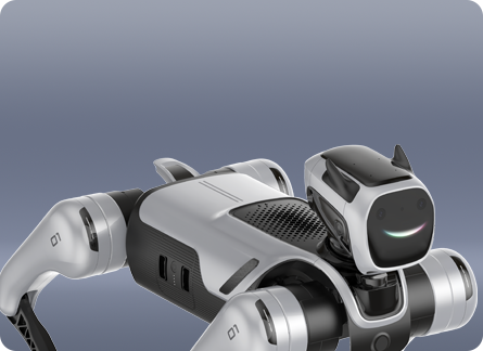 Adaptive Motion Control