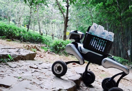 Inclusion Conference Robot “Transporter”