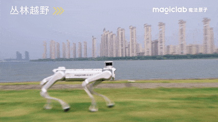 Built for -20°C to 55°C: MagicDog Y1 Deployed for 24/7 Flood-Relief Operations in Guangxi