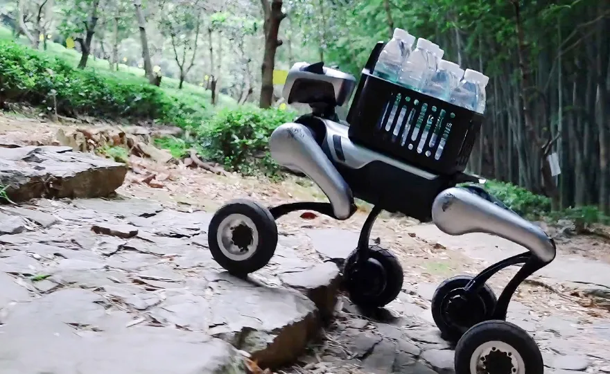 Uneven-Terrain and Emergency Logistics