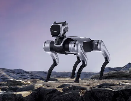 Beyond the Factory Floor: Quadruped Mobility and Multi-Scenario Service Robotics